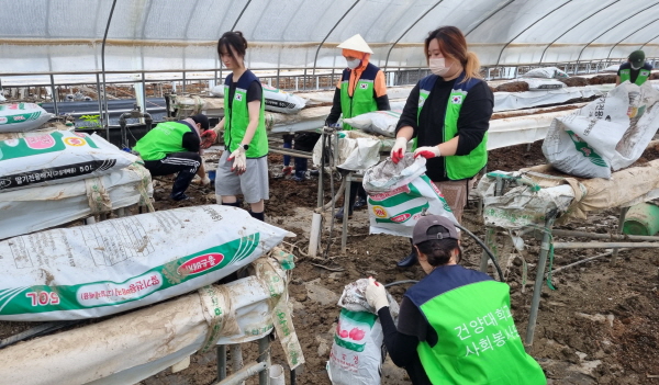 건양대 학생 및 교직원, 논산 벌곡서 수해복구지원 참여